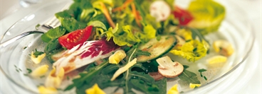Mixed Salad on a table, Close up.